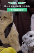 人还没买到